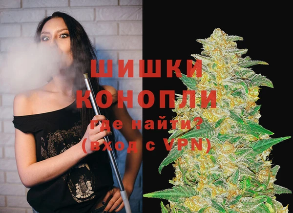 гашик Осташков